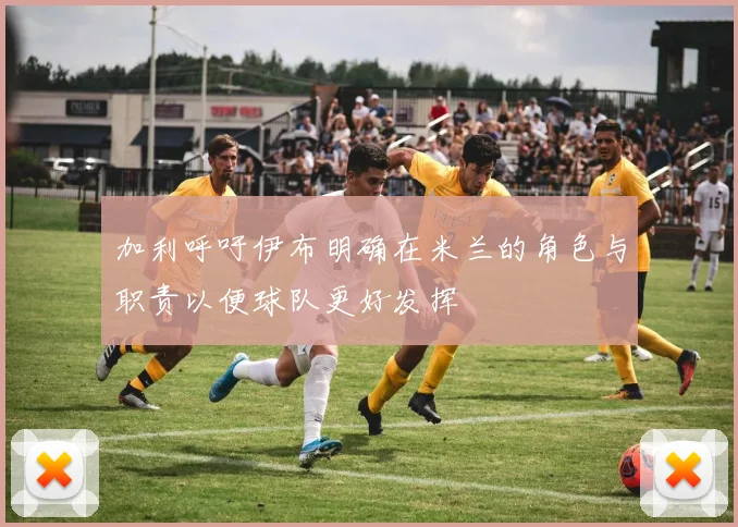 加利呼吁伊布明确在米兰的角色与职责以便球队更好发挥