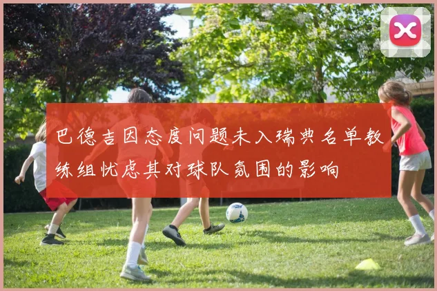 巴德吉因态度问题未入瑞典名单教练组忧虑其对球队氛围的影响