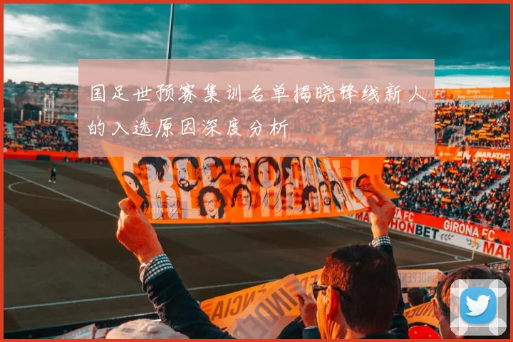 国足世预赛集训名单揭晓锋线新人的入选原因深度分析